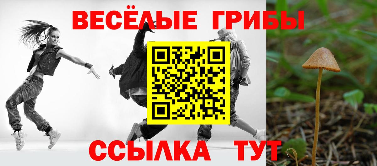 Псилоцибиновые грибы GOLDEN TEACHER Белая Калитва